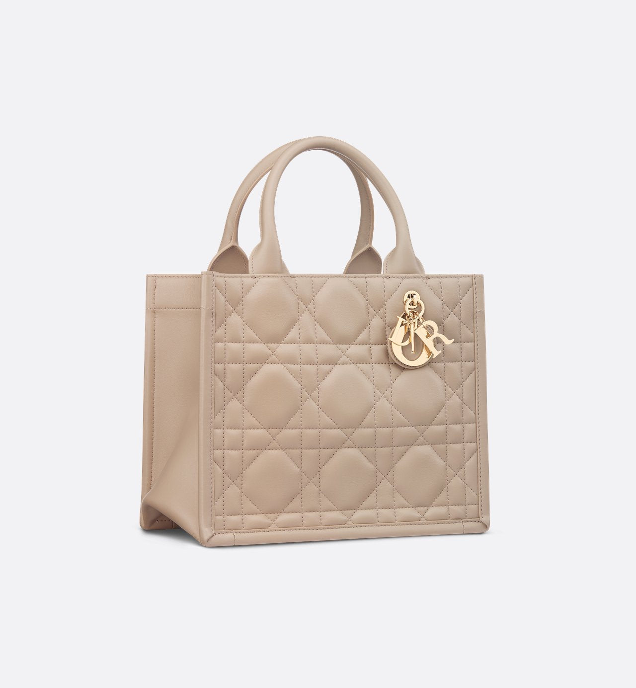 Sac Dior Book Tote Small - #5