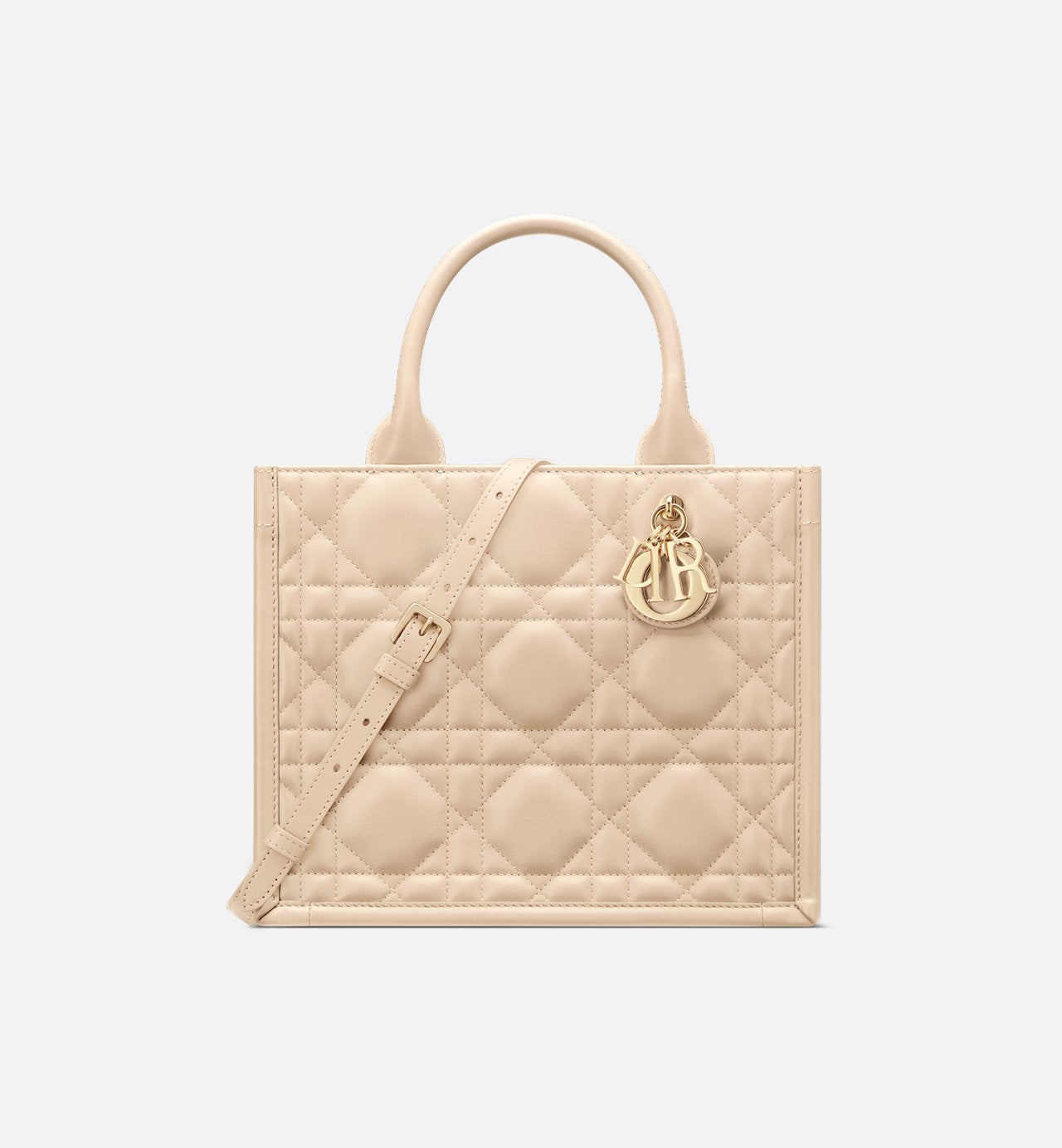 Sac Dior Book Tote Small - #10