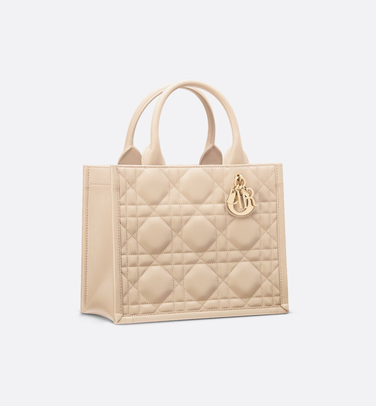 Sac Dior Book Tote Small - #10