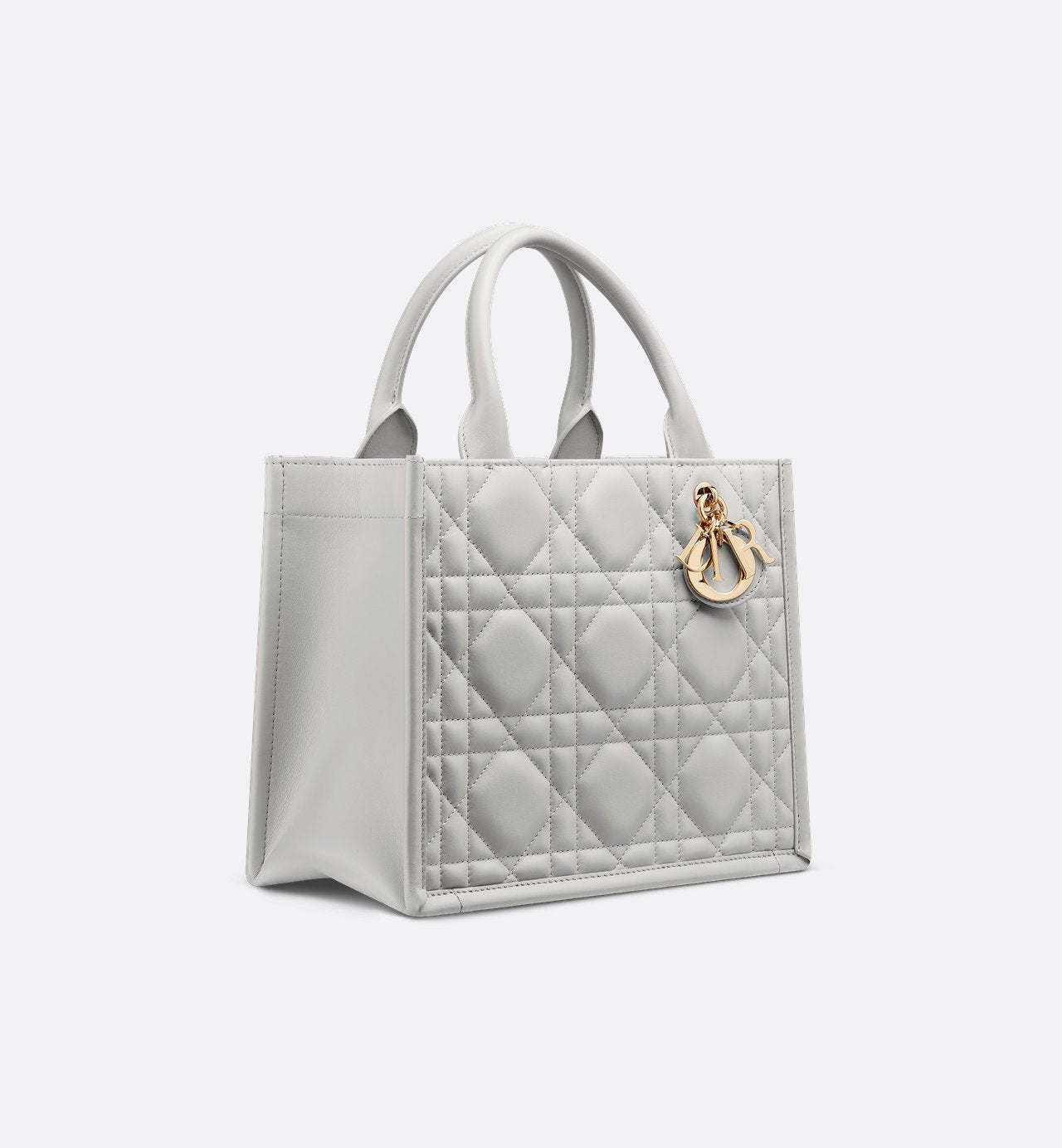 Sac Dior Book Tote Small - #7