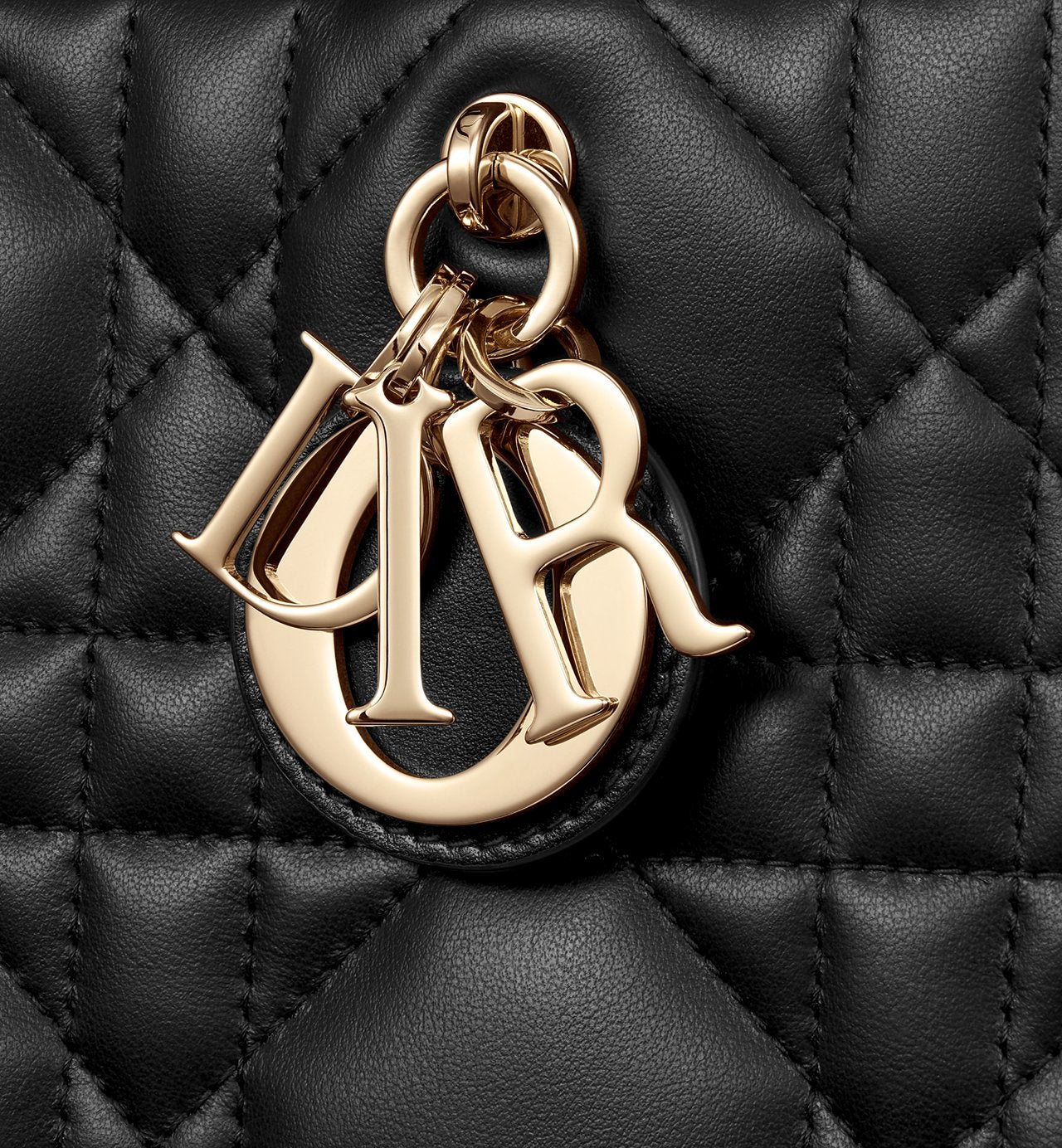 Sac Dior Book Tote Small - #8