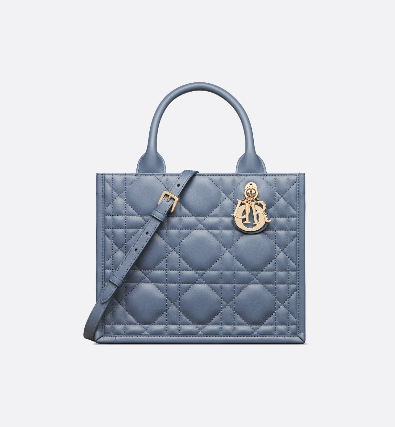 Sac Dior Book Tote Small - #9