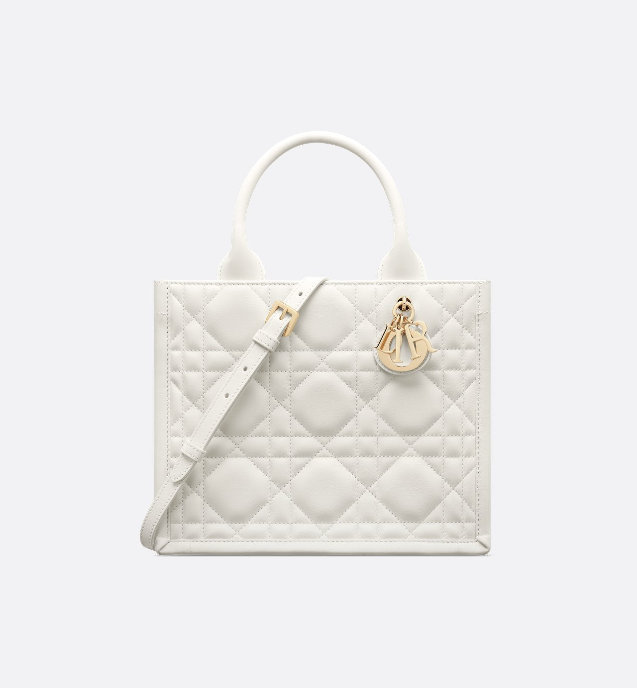 Sac Dior Book Tote Small - #6
