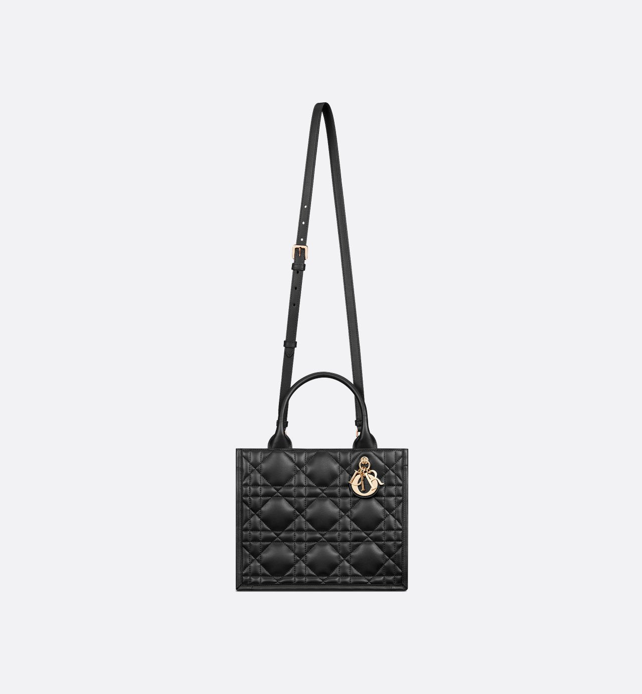 Sac Dior Book Tote Small - #8
