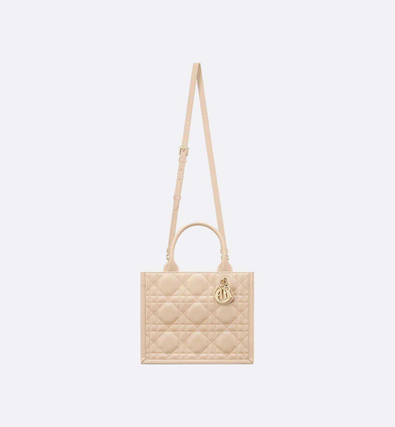 Sac Dior Book Tote Small - #10