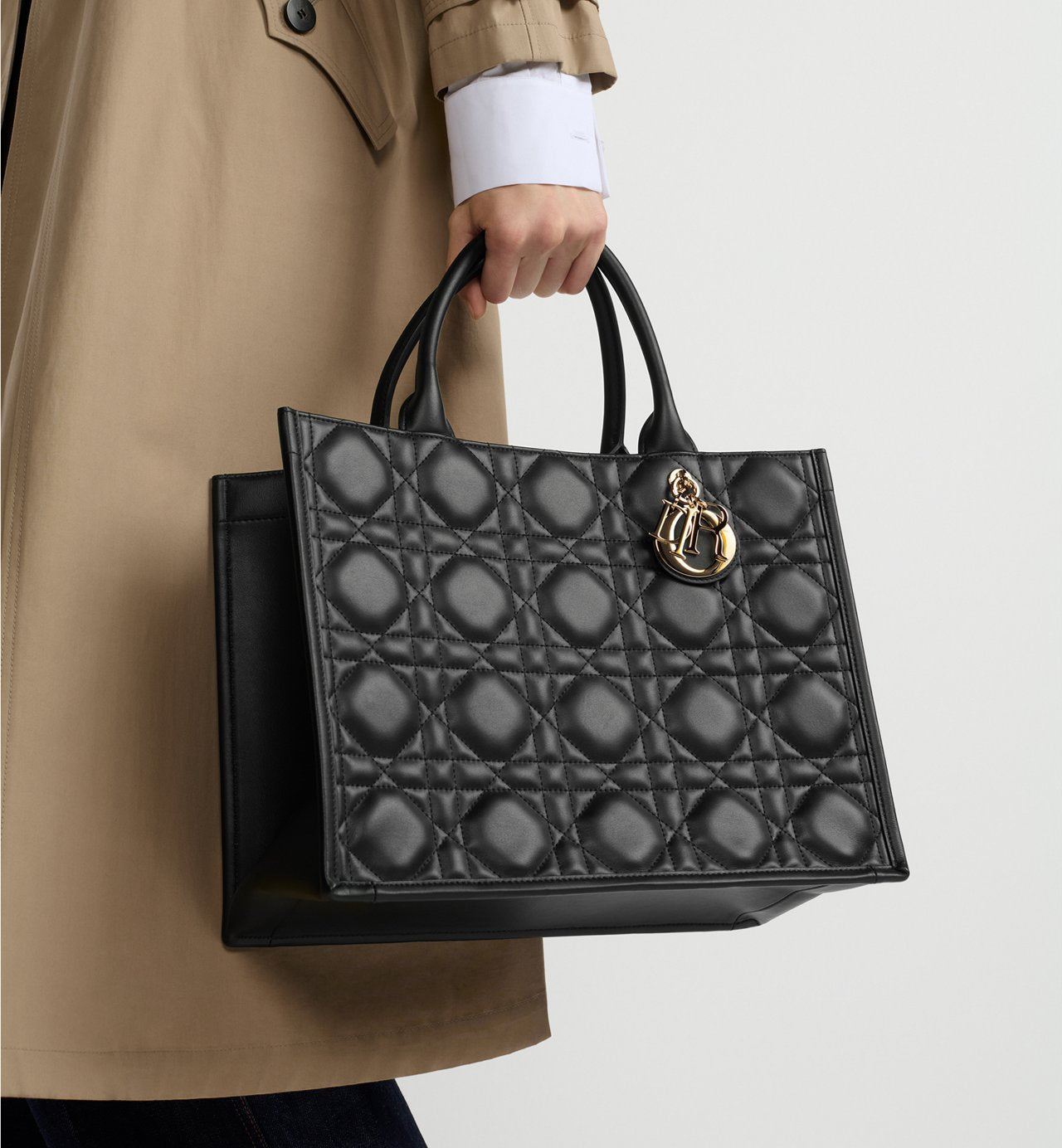 Sac Dior Book Tote Medium - #1