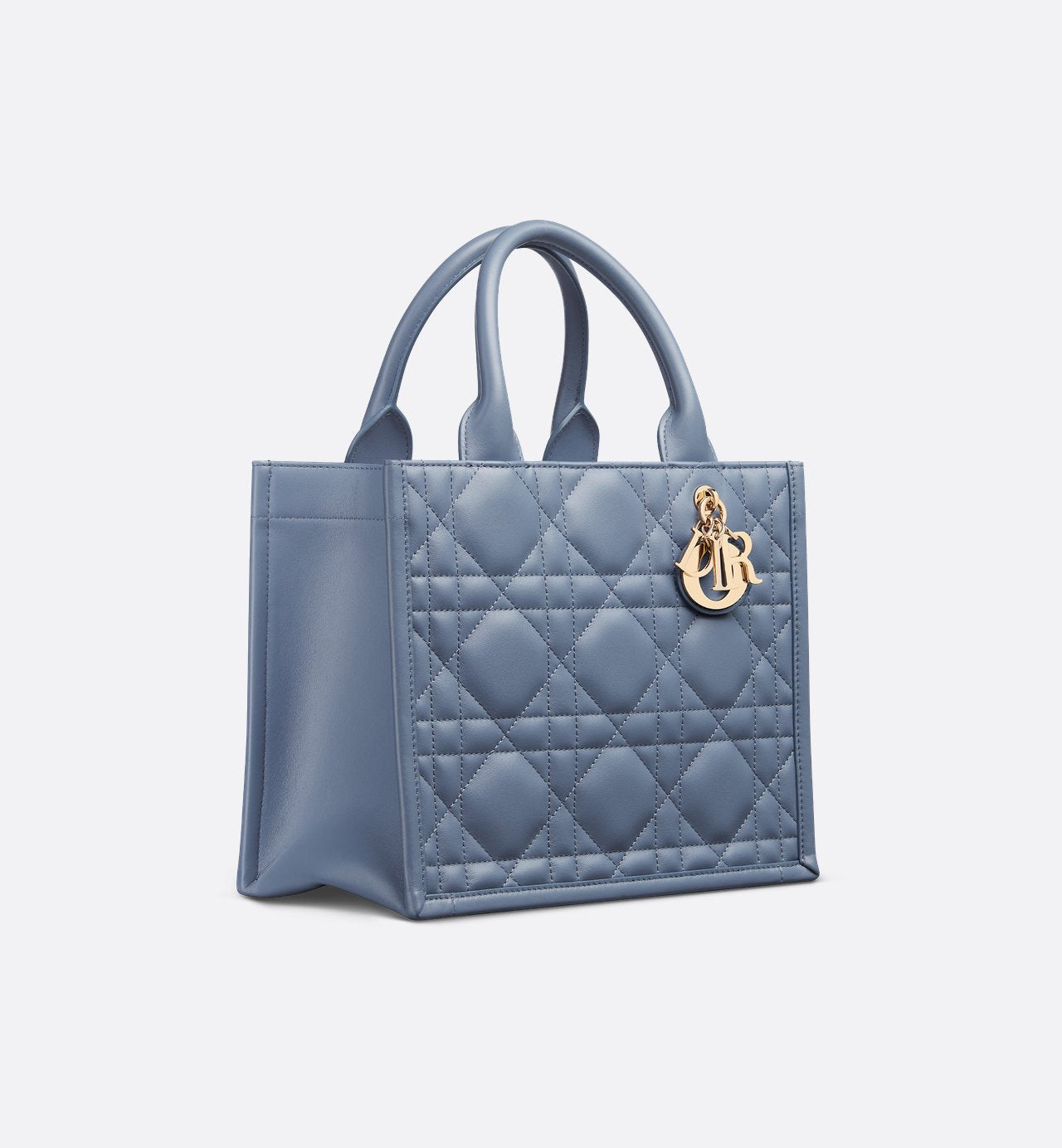Sac Dior Book Tote Small - #9