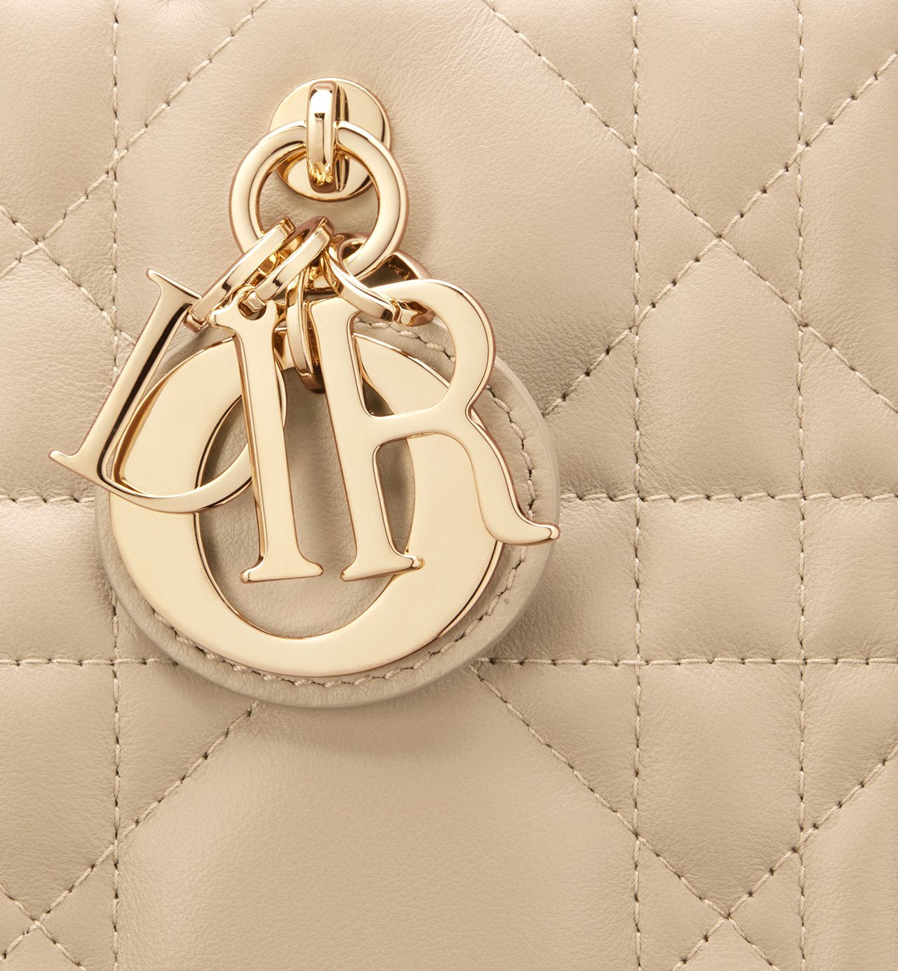 Sac Dior Book Tote Small - #10