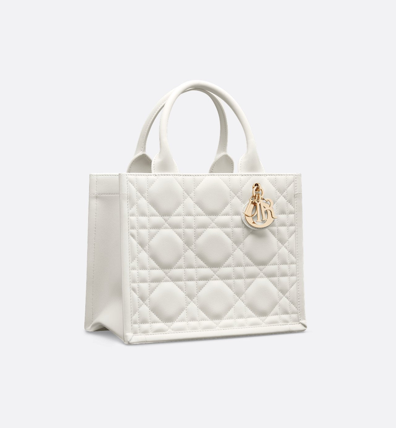 Sac Dior Book Tote Small - #6