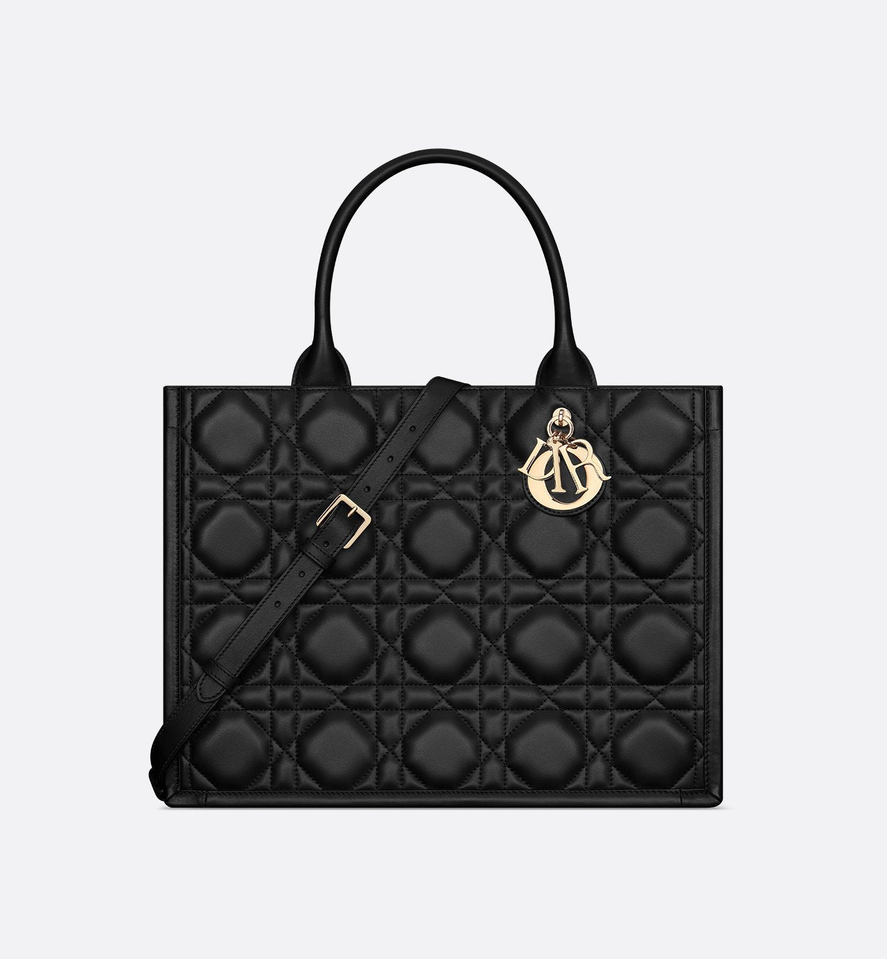 Sac Dior Book Tote Medium - #1