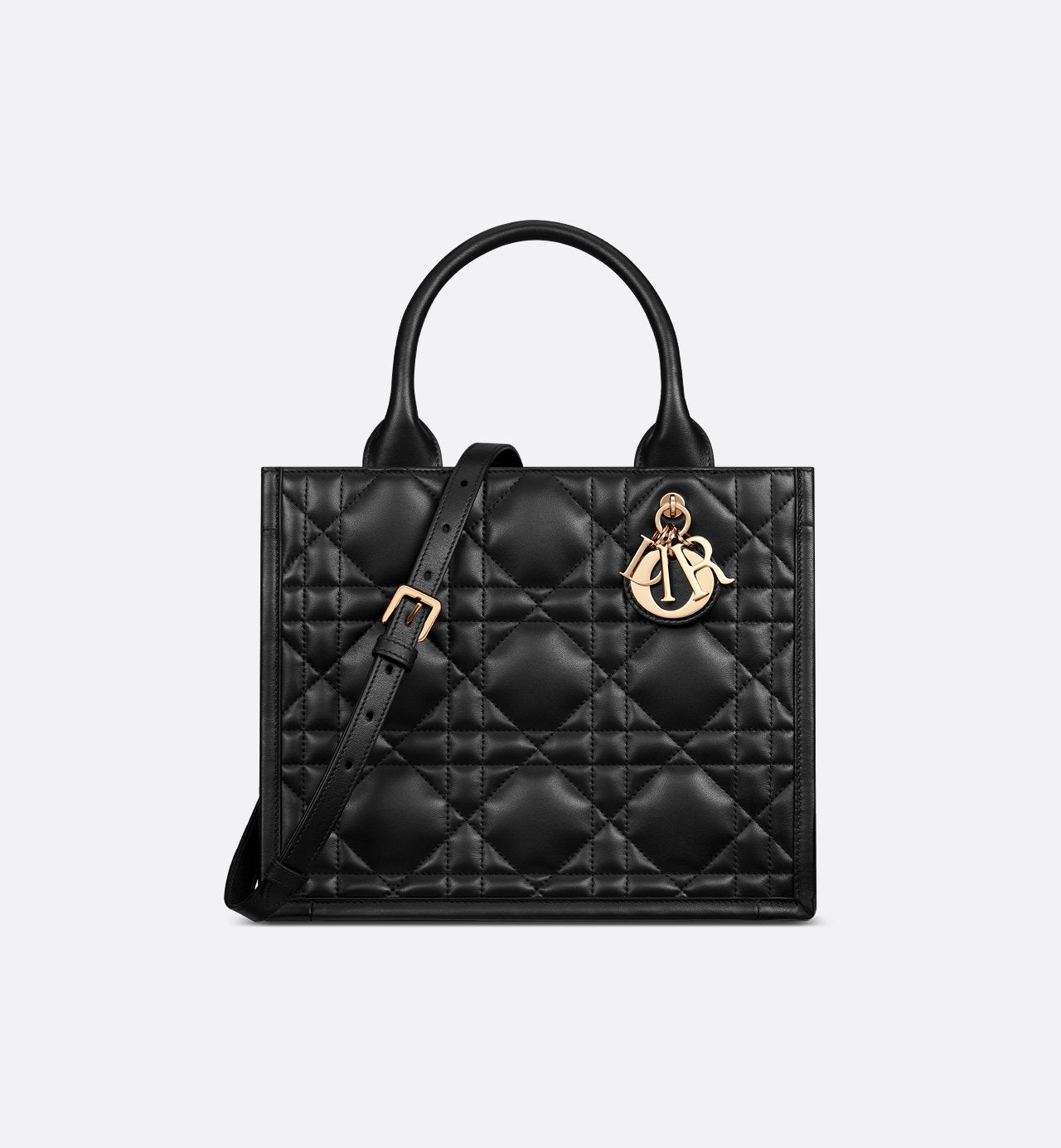 Sac Dior Book Tote Small - #8