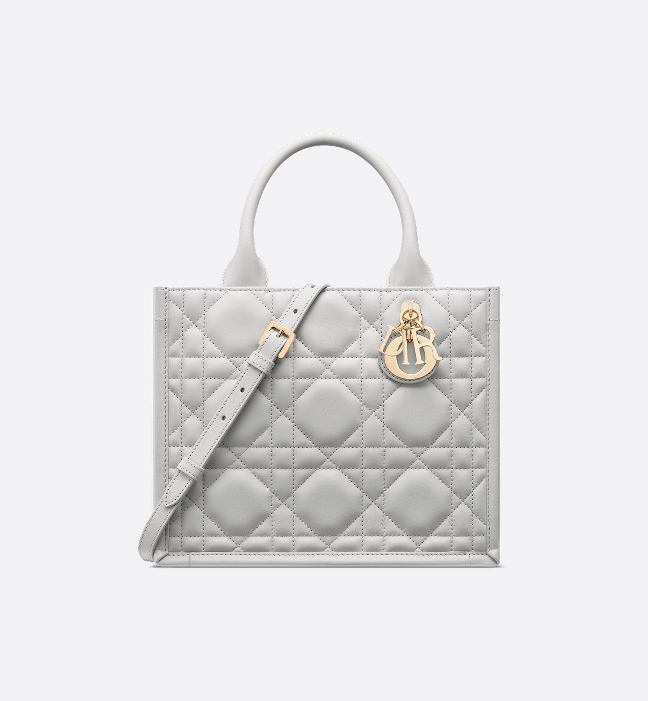 Sac Dior Book Tote Small - #7