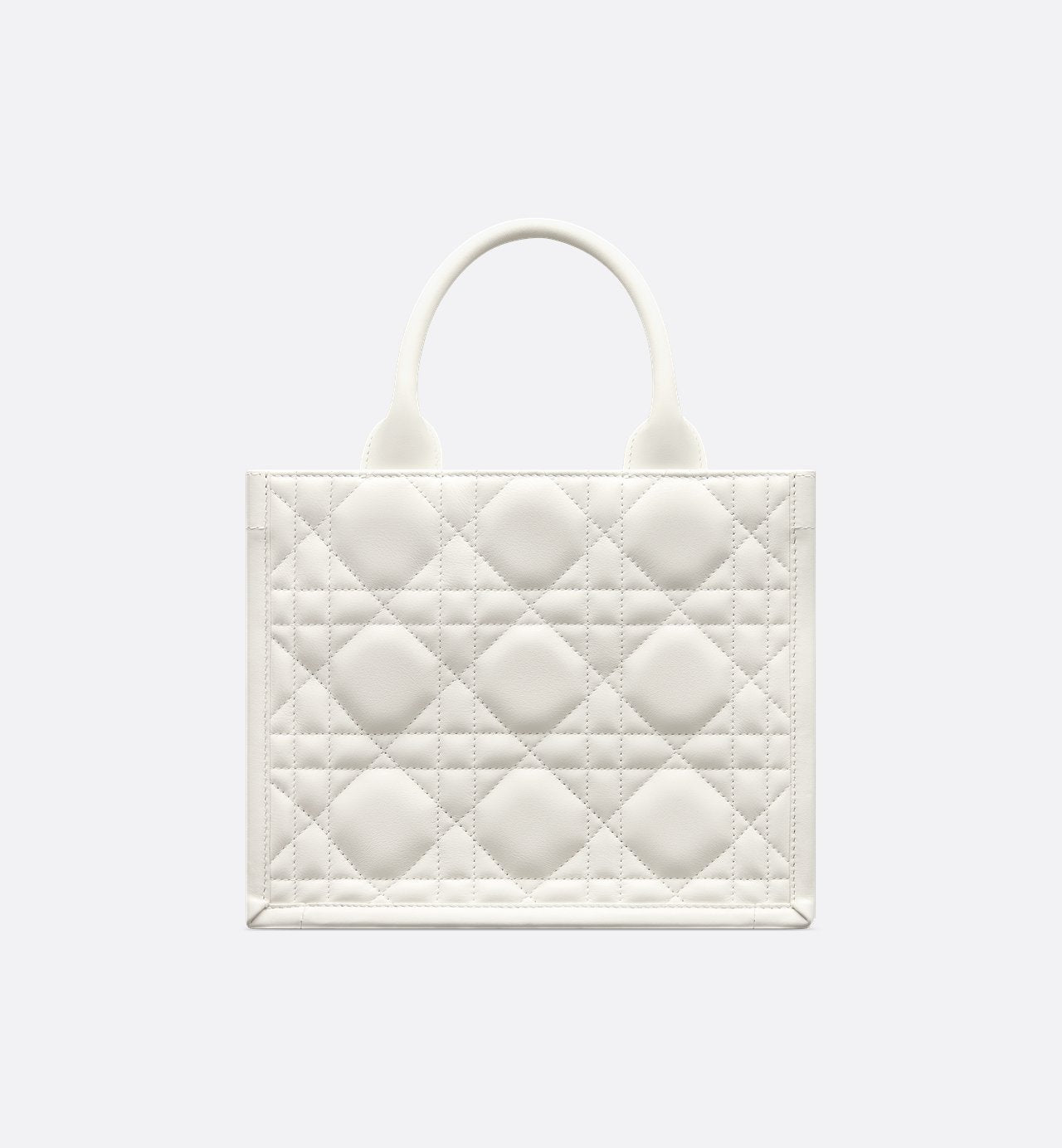 Sac Dior Book Tote Small - #6